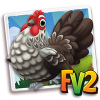 Chicken Adult Iowasilvergrey, , Tom fodrer sin sultne høne!, Tom fodrer sin sultne høne! Snup noget foder, så du kan fodre dine egne!