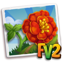 Marigold French, , Janet is growing some unique crops!, Janet is growing some unique crops and has Resources to share! Claim some for yourself!